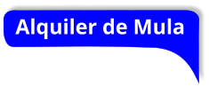 Alquiler de Mula