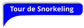 Tour de Snorkeling