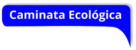 Caminata Ecológica