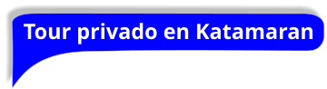 Tour privado en Katamaran