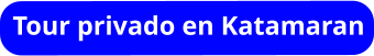 Tour privado en Katamaran