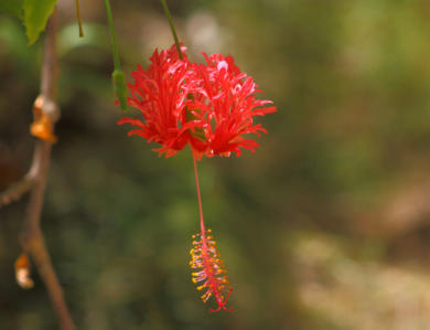 TOUR DE FOTOGRAFIA en San Andrés reservas- www.detourtravel.co +57 3186163346