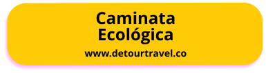 Caminata Ecológica www.detourtravel.co
