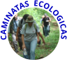 CAMINATAS  ECOLOGICAS