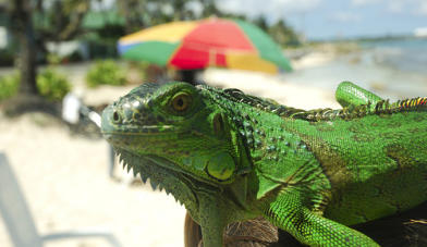 TOUR-FOTOGRAFIANDO-LA-ISLA-DE-SAN-ANDRES reservas www.detourtravel.co +57 3186163346