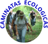 CAMINATAS  ECOLOGICAS