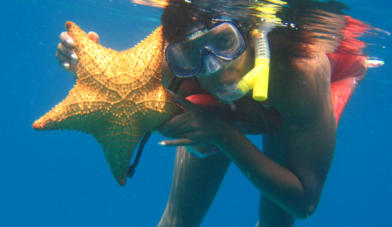 tour de snorkeling en la barrera en la isla de san andres reservas- www.detourtravel.co +57 3186163346