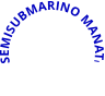 SEMISUBMARINO MANATI